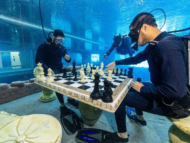 بطولة شطرنج احترافية 