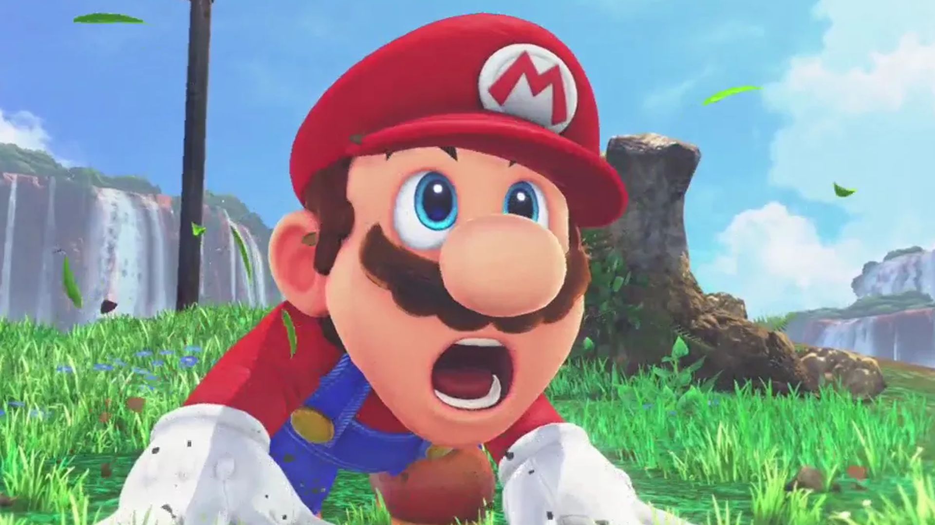 Nintendo