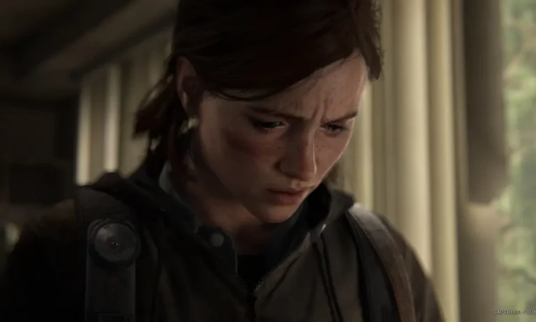 Last of Us 2
