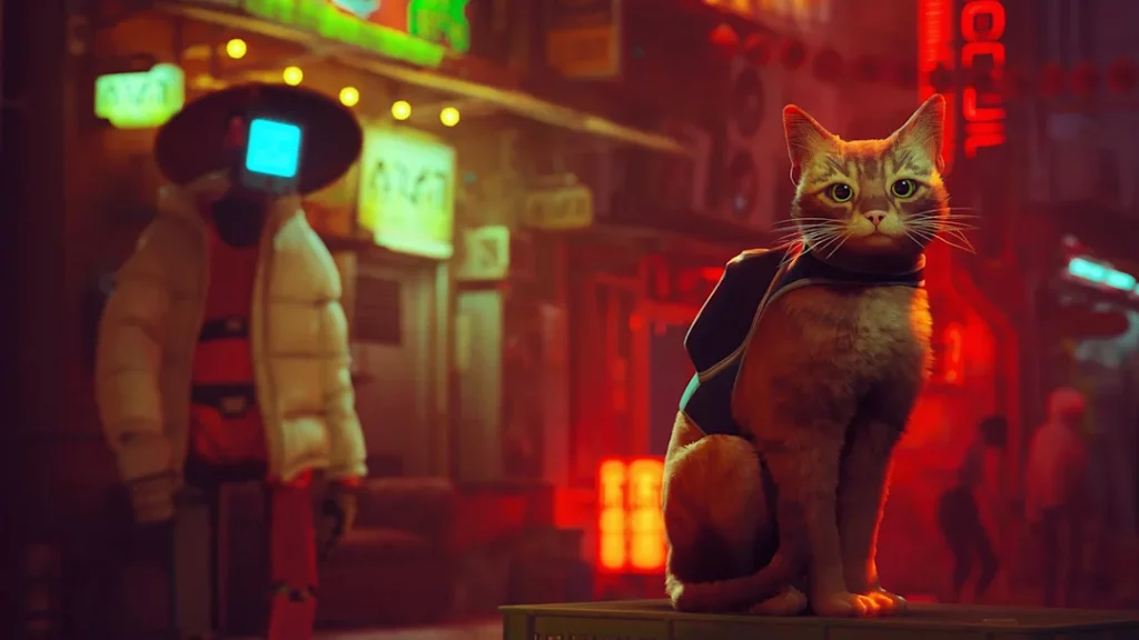 مراجعة Stray