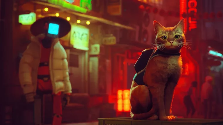 مراجعة Stray