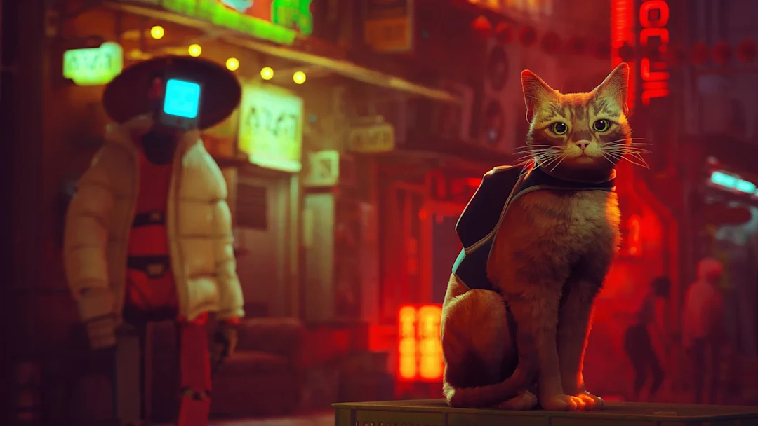 مراجعة Stray