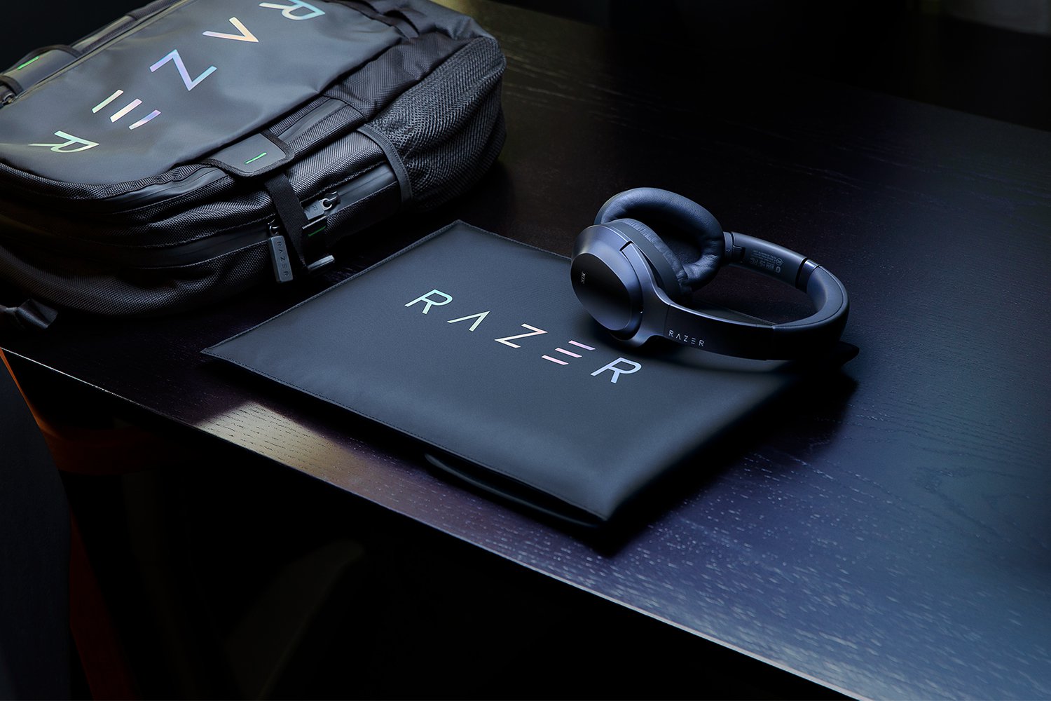 Razer Protective Sleeve