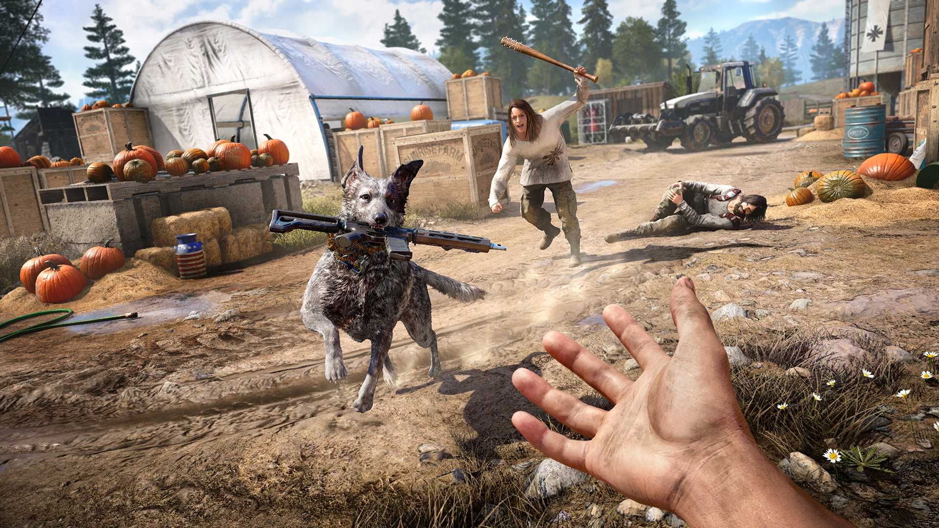تحميل لعبة فار كراي far cry 5 للكمبيوتر ومتطلبات التشغيل سعر فار كراي 5