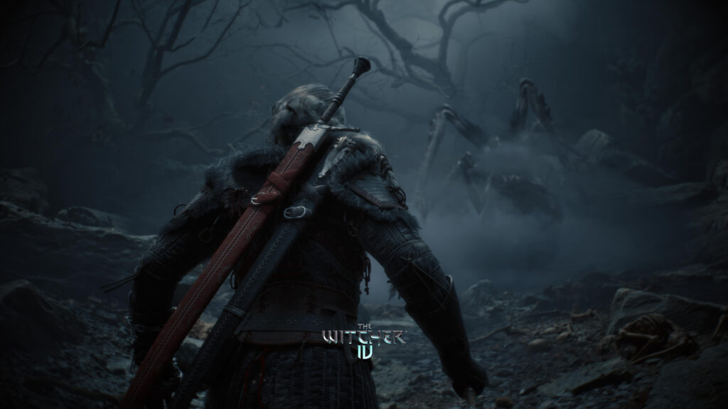 عدد مطوري CD Projekt Red