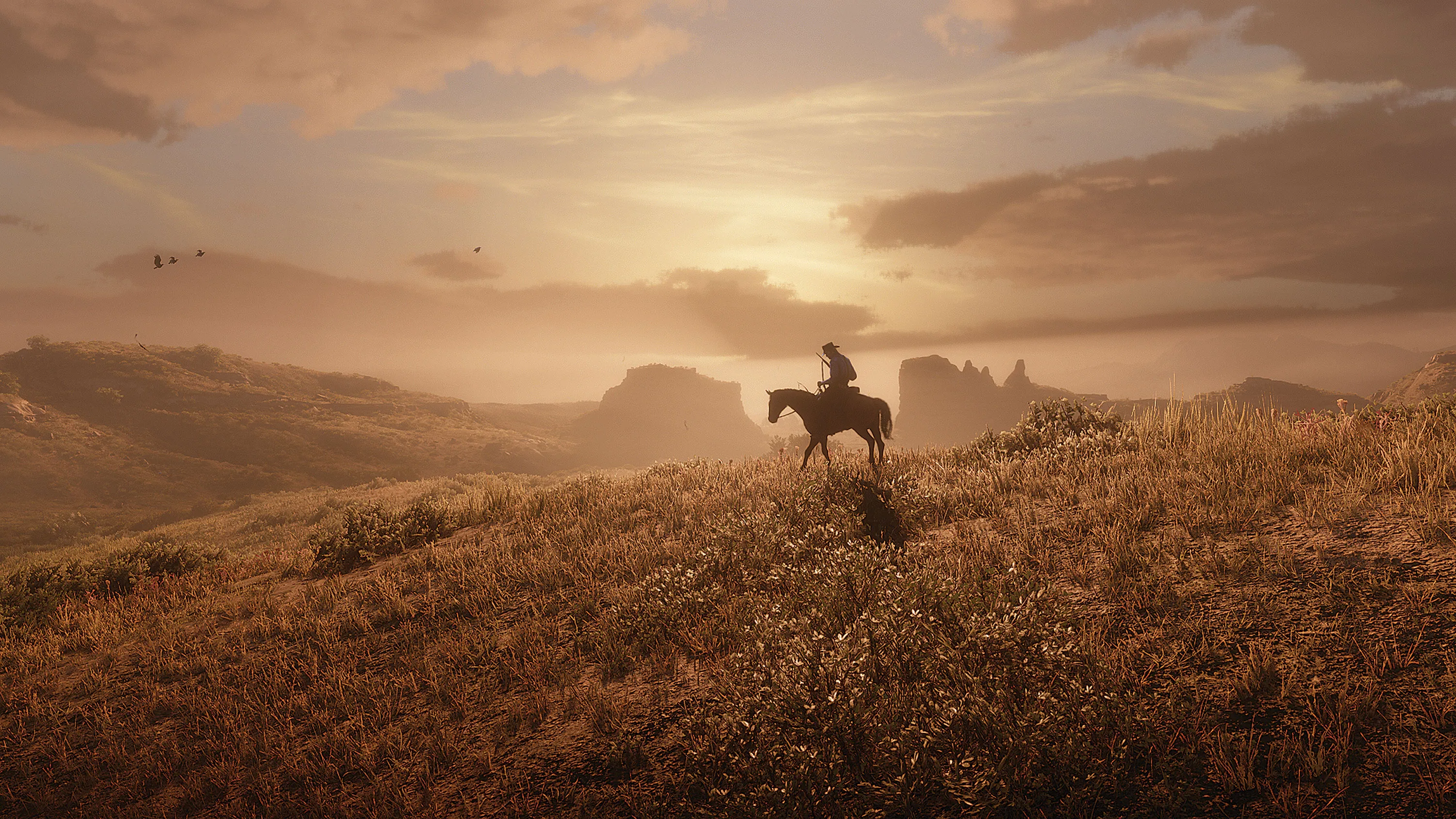 معلومات-رائعة-عن-خريطة-ريد-ديد-ريدمبشن-2-Red-Dead-Redemption